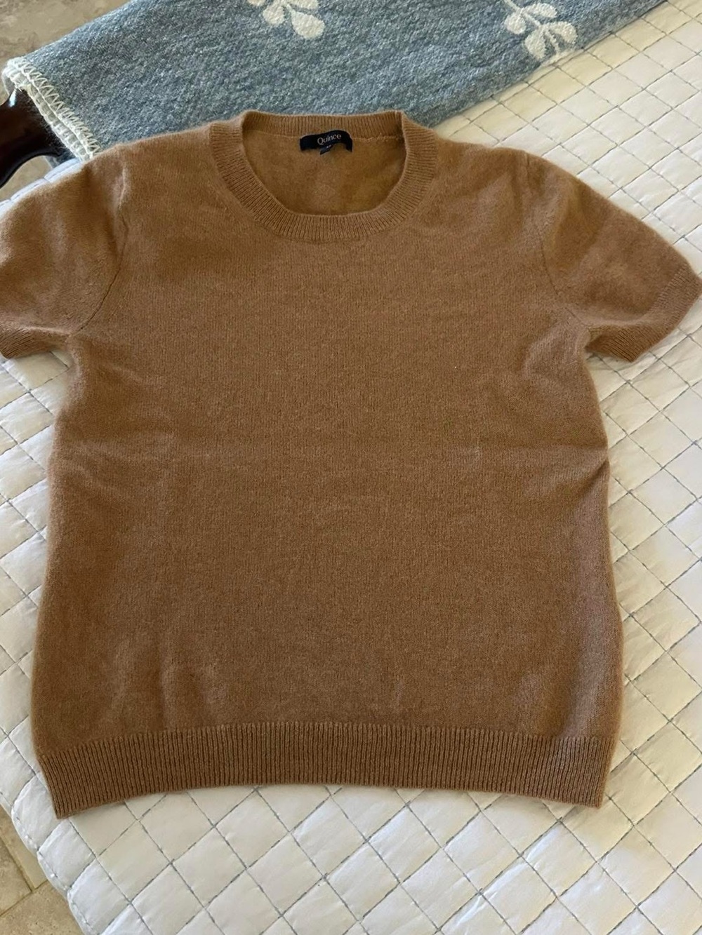Quince Brushed Cashmere Sweater Tee